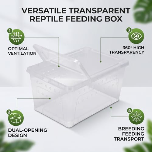 Reptile Feeding Box, Transparent Portable Plastic 2PCS Breeding Transport Box for Lizard Bearded Dragon Spider (L)