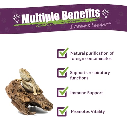 AMBER NATURALZ Reptaid Herbal Supplement for Small Reptiles | Herbal Pet Supplement for Immune Support | for Reptiles Under 250g | 1 Fluid Ounce Glass Bottle | Manufactured in the USA - size: 1 oz