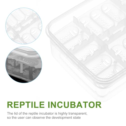 Balacoo 4 Pcs 16-Grid Reptile Breeding Box, Professional Clear Egg Incubator Tray, Plastic Breeder Box for Gecko, Lizard &Amp; Mane Hatching