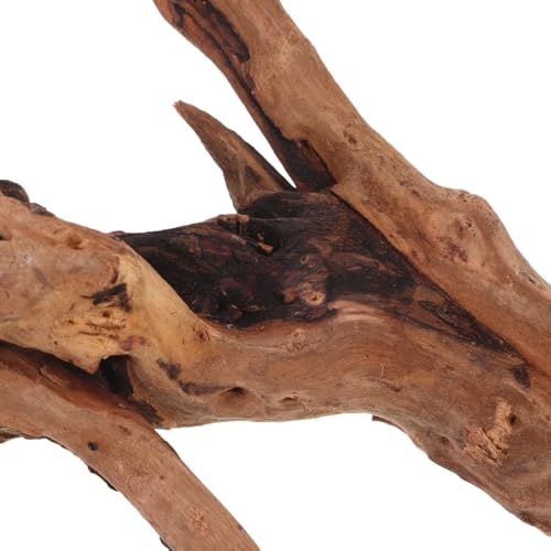 POPETPOP Natural Dead Wood Aquarium Decor Fish Tank Dead Wood Craft with Stable Wide Base 9.84 X 5.90 X 4.72 in Driftwood Ornament for Aquarium Reptile Tank Home and Study