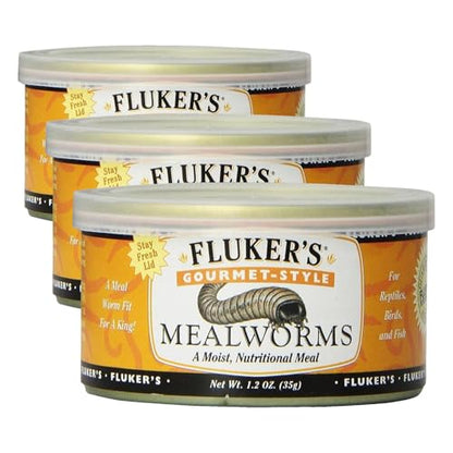 Fluker's Gourmet Canned Food, Mealworms, for Reptiles | Fish & Birds Compatible | Small Animals Compatible | 1.23 Ounce | Pack of 3 - size: 1.23 Ounce (Pack of 3), style: Mealworms