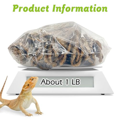 Reptile Cork Bark Bulk 1 Lb Reptile Bark Bedding Natural Flat Cork Wood Pieces Terrarium Substrate Tank Supplies for Bearded Dragon Snake Spiders Hermit Crabs Geckos Tortoise