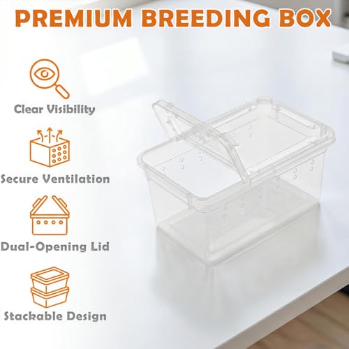 12 Pcs Mini Reptile Feeding Box, 3.6 x 2.1 x 1.9 inch Plastic Spider Terrarium Breeding Container with Ventilation Holes, Transparent Habitat Cage for Jumping Spider Tarantula Scorpion Gecko Insect