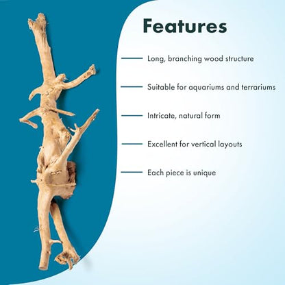 SubstrateSource Natural Aquarium Driftwood for Fish Tanks, Terrarium, Reptile Habitats, Freshwater Aquatic Decor - Small to Large Pieces (Spiderwood (Small) 4-6", 1 Piece) - size: 1 Piece