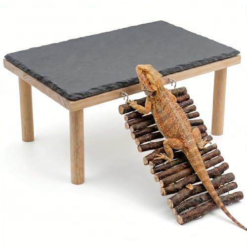 Bearded Dragon Basking Platform, Natural Slate Reptile Basking Rock with Wooden Climbing Ramp, Terrarium Habitat Decor for Lizard, Leopard Gecko, Tortoise, Snake (Large) - size: Large