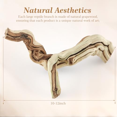 Janinka 10-12" Length Large Wood Reptile Branch for Bearded Dragon Driftwood Reptile Climbing Habitat Decoration for Terrarium Tree Trunk Ornament Gecko Frog Chameleon Spider - size: 10-12"