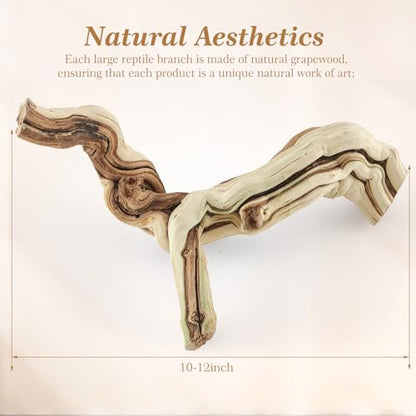 Janinka 10-12" Length Large Wood Reptile Branch for Bearded Dragon Driftwood Reptile Climbing Habitat Decoration for Terrarium Tree Trunk Ornament Gecko Frog Chameleon Spider - size: 10-12"