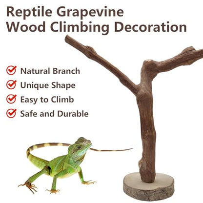 BNOSDM Reptile Grapevine Wood Decoration Lizard Natural Wood Climb Tree Branch Decor Grape Wood Branches Tank Accessories for Leopard Gecko Frog Snake Climbing Terrarium Ornament,7.87in