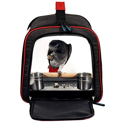 Colorday Lightweight Bird Carrier Travel Cage, Large 19x12x13 inch | For Travelers, Parrot Feeder Cups Included, Standing Perch Included, With Tray, Black