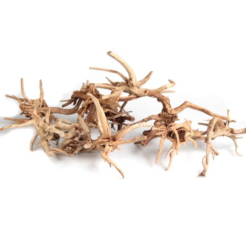 emours Driftwood Branches Reptiles Aquarium Decoration Assorted Size,(5.5-8 inch in Length),4 Pieces (Spider Wood)