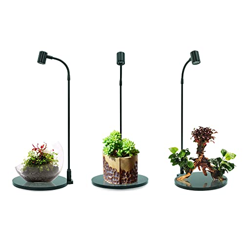 MINI Terrarium Aquarium Black Spotlight for Potted Plants, Betta Fishes, Bottle Jars, Displays, Indoor Plant, Succulents, Air Plants