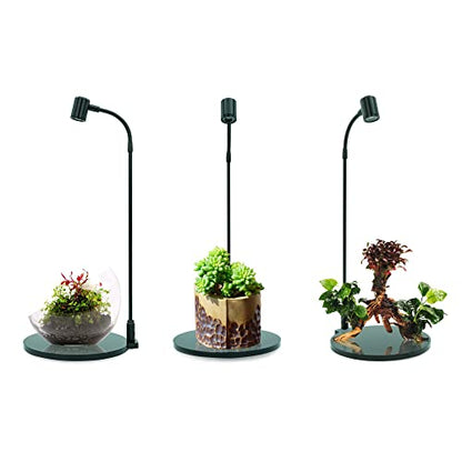 MINI Terrarium Aquarium Black Spotlight for Potted Plants, Betta Fishes, Bottle Jars, Displays, Indoor Plant, Succulents, Air Plants