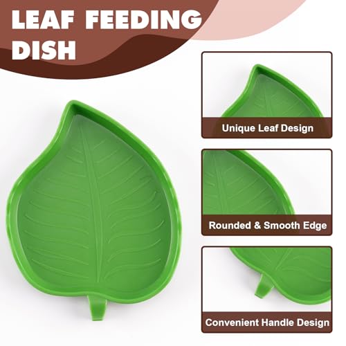 Tortoise Water Dish with Ramp, 3-Piece Tortoise Food & Water Bowls with Leaf Food Dish for Small Reptiles like Bearded Dragon, Gecko & Lizard