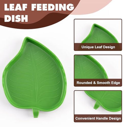 Tortoise Water Dish with Ramp, 3-Piece Tortoise Food & Water Bowls with Leaf Food Dish for Small Reptiles like Bearded Dragon, Gecko & Lizard