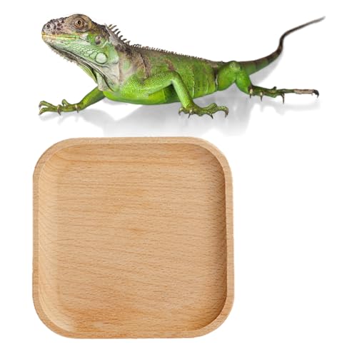 1 Pcs Leopard Gecko Potty Pad,Crested Gecko Potty Latrine，Leopard Gecko Tray，Reptile Litter Box，Portable Gecko Tank Accessories(Beech)