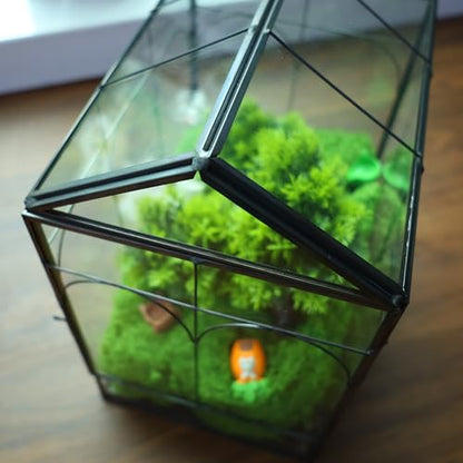 HighFree Geometric Plant Terrarium with Lid, House Succulent Terrarium Kit for Succulents Cacti Snail, Home Tabletop Miniature Terrarium (Black with Side Door) - color: Black With Side Door