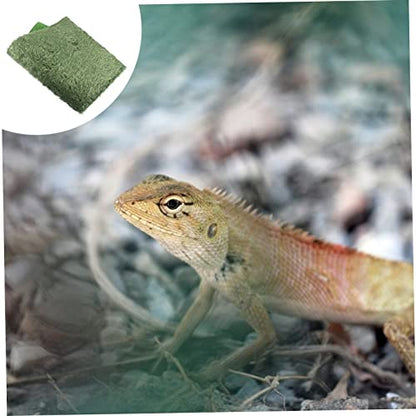 Hemoton 2pcs Reptile Carpet Turtle Habitat Moss Reptile Mat Imitation Crawler Mats Tank Accessories Terrarium Liner