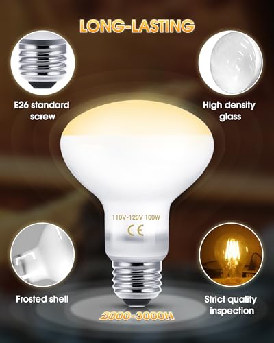 Reptile Heat Lamp Bulbs -100W UVA Natural Daylight Heating Lamp Basking Bulb for Bearded Dragon, Basking Spot Floodlight Light for Reptiles, Lizard, Turtle, Snake Bathroom, Plants,Chickens Pets,2 Pack - color: Daylight