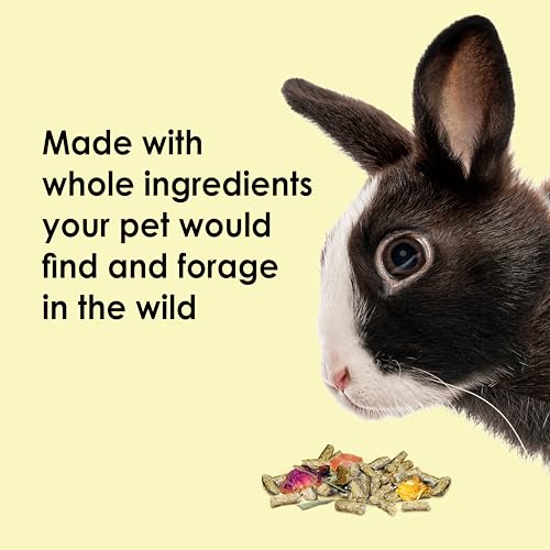 Kaytee Food from The Wild Natural Pet Rabbit Food,4 Pound,(Pack of 2) - size: 4 Pound (Pack of 2)