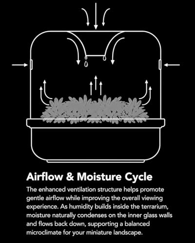 Bioloark MY-150K Glass Plant Terrarium with Ceramic Base, 6.4” x 6.7” Black, Moss Terrarium Container with Clear Glass Cover, Ventilation Holes, Moisture Cycle Lid for Ferns, Succulents & Small Plants - color: MY-150K (6.4 "X6.7")Black