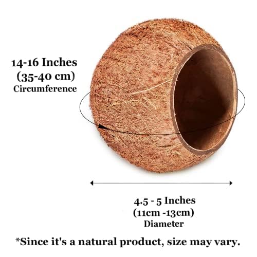 SunGrow Coconut Shell House for Gecko, Snake & Ball Python, Raw Coco Husk, Pet Hiding House, Climber or Chew Toy, for Reptiles, Amphibians (Coco Bowl)