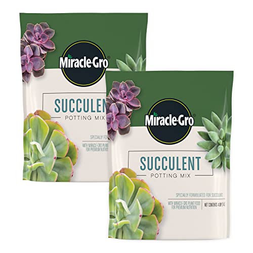 Miracle-Gro Succulent Potting Mix, 4 qt. (2-Pack) | Potting Soil Mix for Indoor Succulents, Aloe Vera and More, Made with Miracle-Gro Plant Food - size: 2 Pack, style: Succulent