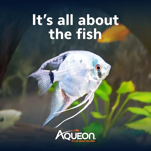 Aqueon Cichlid Slow Sinking Fish Food Pellets, Medium Size, 25 Ounce - size: 1.56 Pound (Pack of 1), style: Medium 25 Ounces