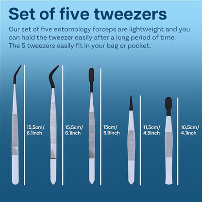 Entomology Forceps Set by MMOBIEL [5 Pcs] – Stainless Steel Precision Instruments with Rubber Tip Forceps Tweezers for Entomology, Insect/Bug/Butterfly Pinning, Dissecting, Taxidermy and Delicate Work