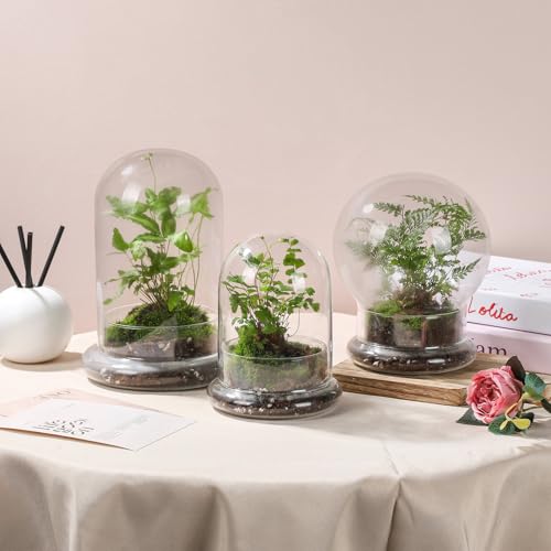WHJY 8 inches Glass Cloche for Indoor Plants Small Terrarium Glass Cloche with Base Mini Cloche Dome with Base for Display Home Decor - size: 8"