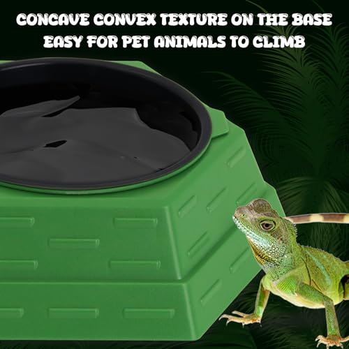 Reptile Feeder Bowl Worm Dish Anti-Escape Food Dish Bowl with 2PCS Feeding Box, Food Water Feeder for Crested Gecko Lizard Chameleon Pets, Reptile Terrarium Tank Accessories (M) - size: M