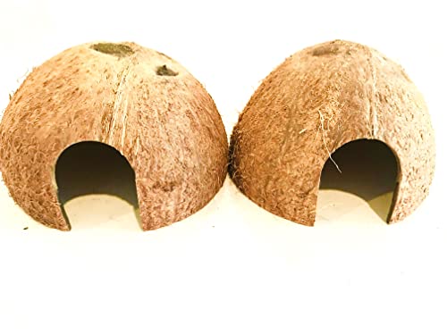 Hexagrowth Coco Hut, Betta Fish cave, Shrimp Hideout, Pleco shelter, Coconut Shell for Hermits, Toad, 2 Packs