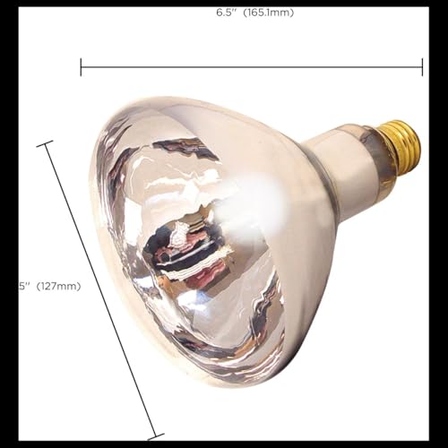 Satco Reflector Lamp,R40 Bulb Shape,300 lm S4750-1 Each