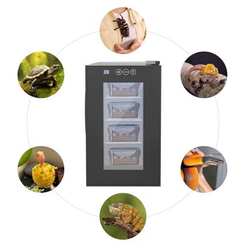 Reptile Incubator, 23L Scientific Lab Incubator, Constant Temperature & Humidity Intelligent Reptile Egg Incubator with 50-104°F Cooling and Heating Temperature Control for Turtle, Lizard, Snake