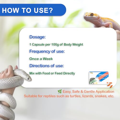 Reptile Vitamin A Supplement – Eye Health Support for Lizards, Turtles, Snakes & Amphibians – Promotes Growth, Vision & Immunity