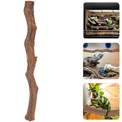 Ipetboom Jungle Climber Vines Reptile Decor Branch Terrarium Climb Branch Background Decoration Plant Decoration with Suction Cup for Snake Lizard and Leopard Gecko Branch