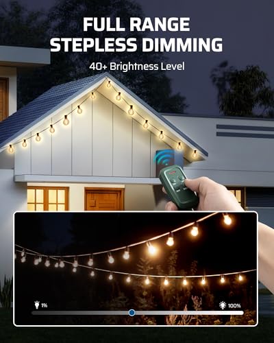 DEWENWILS Outdoor Dimmer for String Lights, Remote Dimmer Switch, Weatherproof Dimmer Plug, 100FT Range, Compatible with Dimmable LED/Tungsten Bulbs - style: Green Dimmer