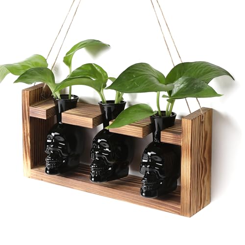 Plant Terrarium Propagation Stations Hydroponics Halloween Skull Planter | Vase skulls decor With Wooden Stand Gife for Father - color: Black
