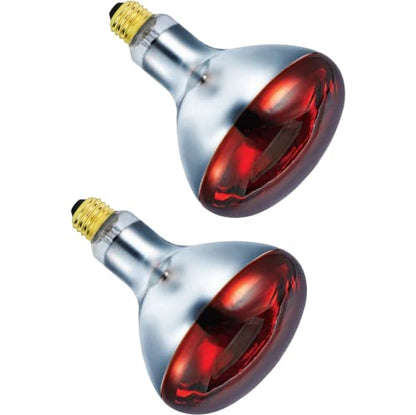 250 Watts R40 Red Heat Lamps Outdoor Bulbs for Pets Flood Light Bulb for Chickens Infrared Reflector 250W R40 Incandescent Medium E26 Base 2 Pack - style: 250W/R40/RED/2PK
