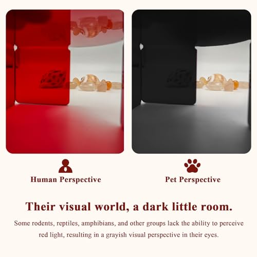 Visible Reptile Hide Box, PMMA Small Hideaway Snake Hide Enclosure, Easy to Clean Reptile Hides Cave for Leopard Geckos, Snakes, Lizards, Cornsnakes, Hamster - Small & Juvenilem (5.2 x 3.73 x 2.3 in) - size: Small