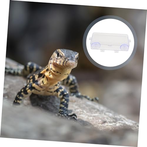 HEMOTON 1Pc Suction Cup Reptile Feeder Transparent Gecko Feeding Bowl for Water and Food Easy to Dish for Lizard and Tortoise Daily Use Water Dish