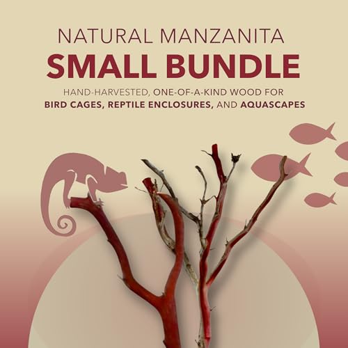 Manzanita Driftwood (Bundle) for Small Aquariums & Reptile Tanks (8-10”") 5–10 gallon tank | Natural Aquascaping & Terrarium Decor | Hardwood Branches, Unique Shapes | Betta Fish, Shrimp, Gecko, Frogs - size: Bundle SM
