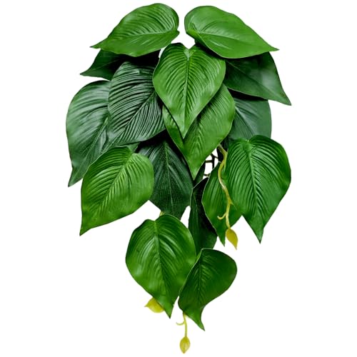 Woyrise Reptile Plants, Terrarium Hanging Plant Vines, Artificial Leaves with Suction Cup, Bearded Dragon Tank Accessories for Gecko Lizard Snake Frog Tortoise Decorations - Epipremnum aureum - color: F-epipremnum Aureum