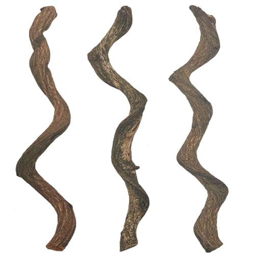 BNOSDM Reptile Forest Climbing Branch Decor Crested Gecko Climb Wood Natural Branches Tree for Snake Frog Chameleon Spider Bearded Dragon Terrarium Habitat Tank Accessories,3PCS