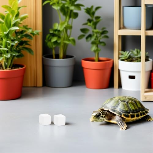 KESYOO 6 Natural Mineral Calcium Blocks for Turtles and Reptiles, Mineral Supplement for Tank Substrate, Aquarium and Terrarium Accessory, Health Support and