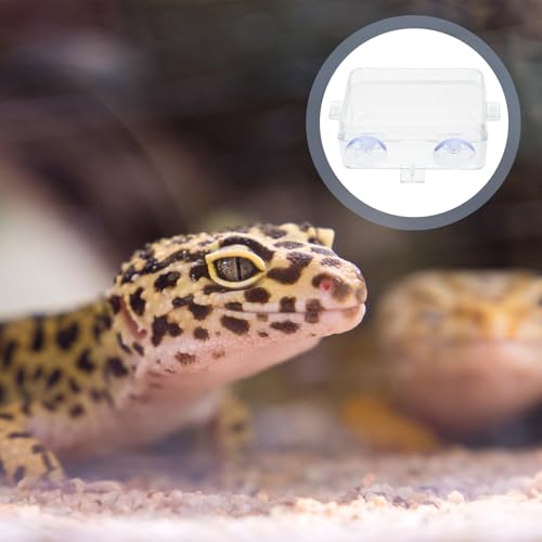 HEMOTON 2pcs Small Reptile Food Feeder Bowls with Suction Cups Multi-Function Feeding Dish for Lizards Geckos and Bearded Dragons Escape-Proof Terrarium Feeding Supplies