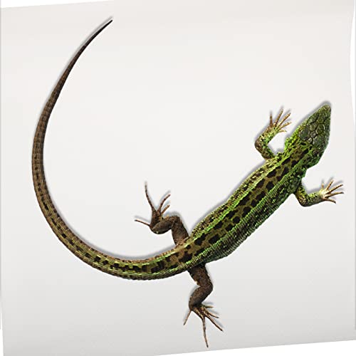 POPETPOP Reptile Carpet Mat for Snake and Lizard Terrarium Non- Bedding Washable Substrate for Bearded Dragons Tortoises and Geckos