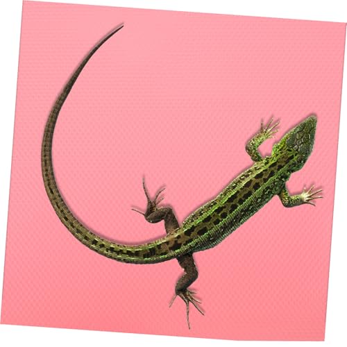 EVA Reptile Carpet Mat Soft Non-Absorbent Terrarium Liner for Leopard Gecko Bearded Dragon Lizard Snake Tortoise and Shape Substrate Bedding for Reptile Tank