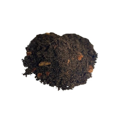 Isocare Premium DesertScape Substrate All-Natural Soil Bedding & Bioactive Terrarium Vivarium Mix (4 Quart)