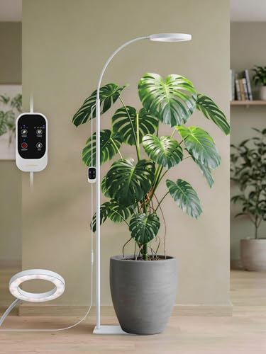 GLOWRIUM Grow Lights for Indoor Plants, Full Spectrum LED Grow Light Floor Lamp with Stand Adjustable Height and Angle, Black Plant Light with 3/9/12H Grow Light Timer (White, 20W) - color: White, size: 20W