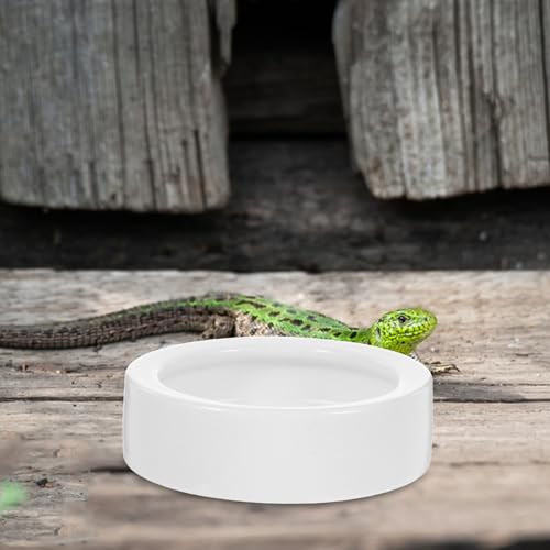 Ciieeo Reptile Food and Water Bowls Stable Desktop Standing Ceramic 2 Pcs Anti-Escape Design, Round Feeding Dishes for Lizards and Small Reptile Animals for Terrarium Use